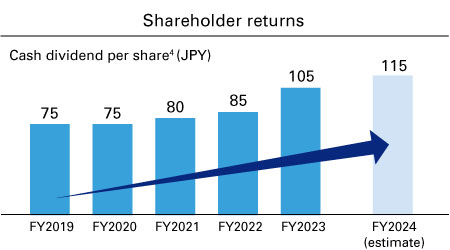 Shareholder returns